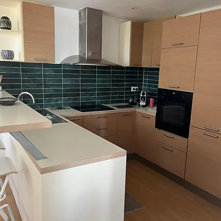 Apartamento Deux-pieces Avec Piscine Et Vue A Niza